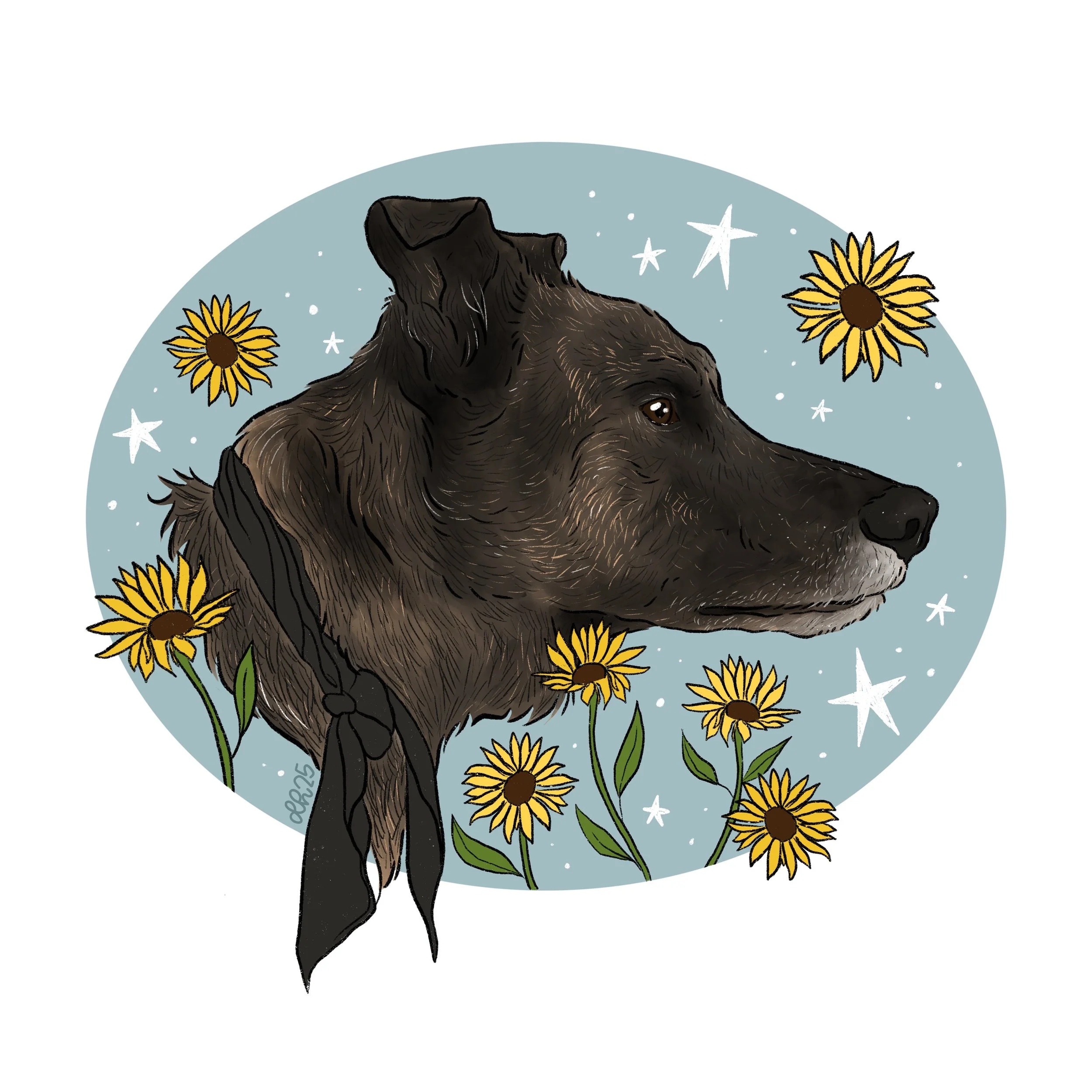 digital pet portrait illustration — creep can sleep